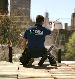CCS service
